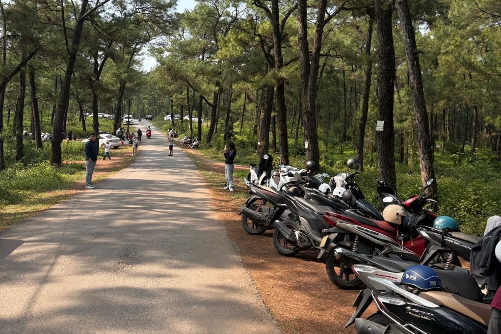 Đa phần mọi người thường di chuyển bằng xe máy khi đến đồi Thiên An 