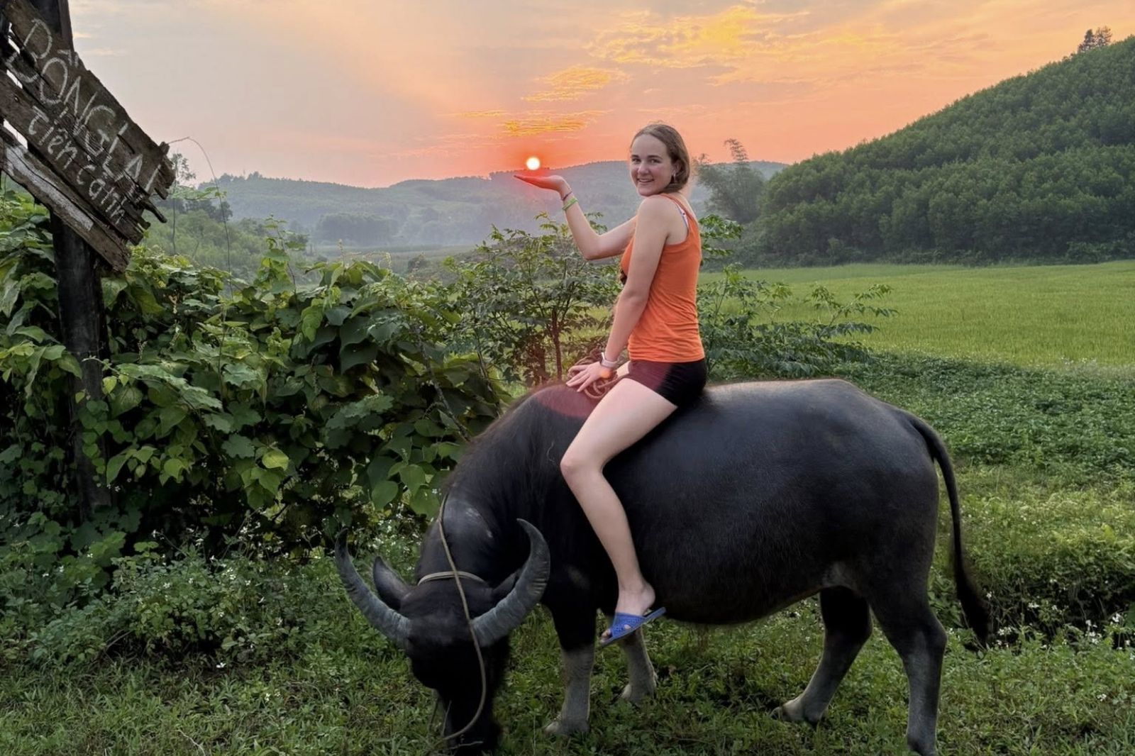 Đến Tang's Farm trải nghiệm vào mùa hè 