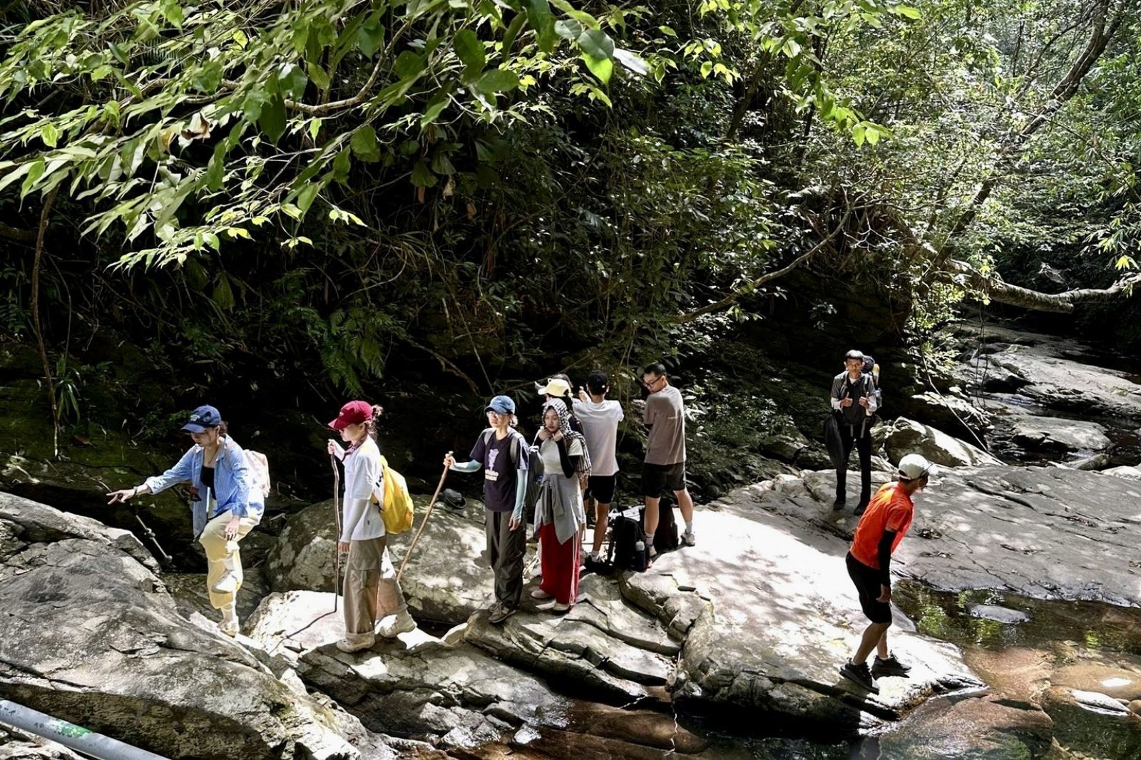 Du khách có thể di chuyển từ Hội An ra Huế và đi theo tour