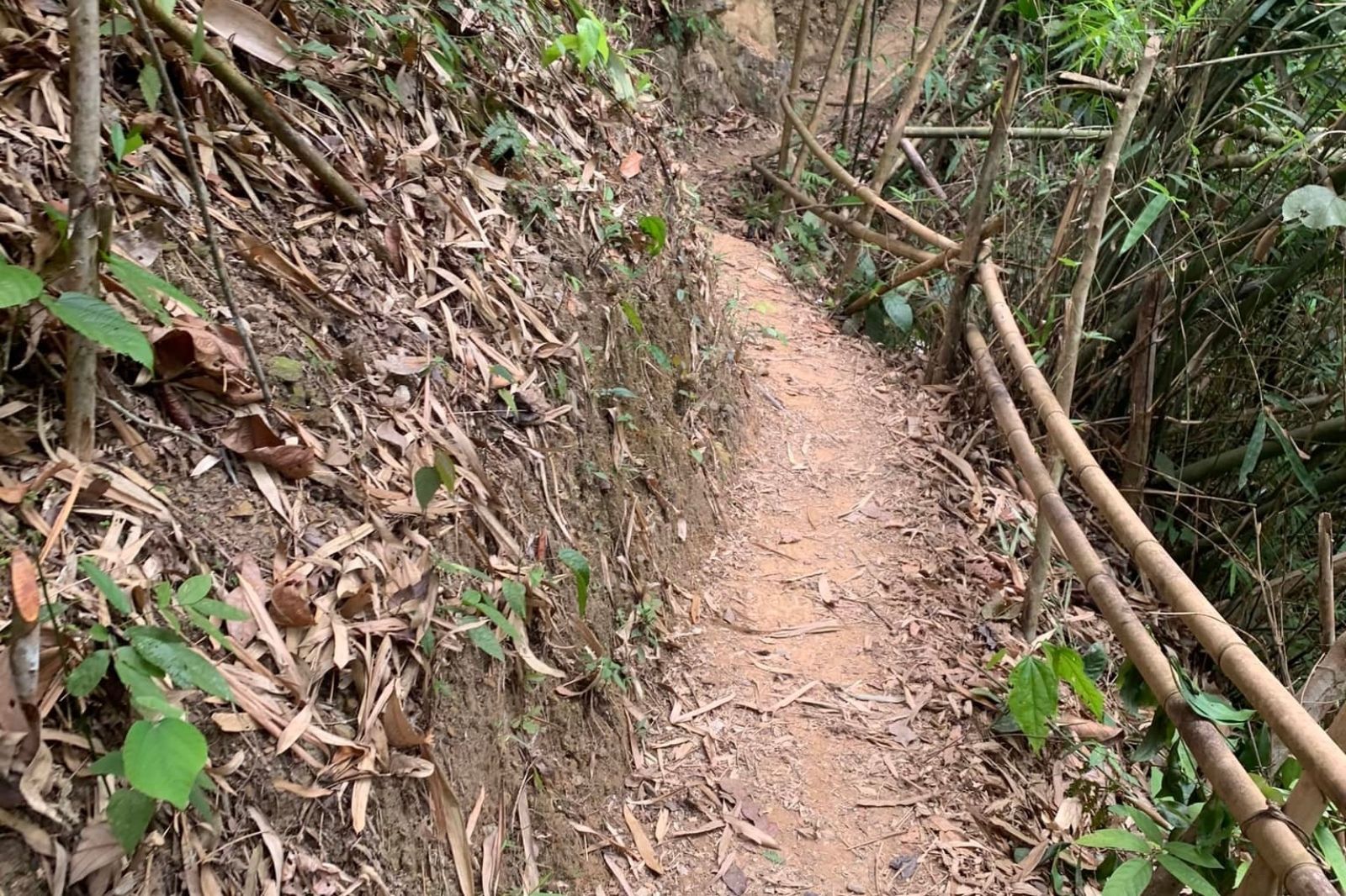 Đoạn đường đi bộ vào thác Tà Puồng