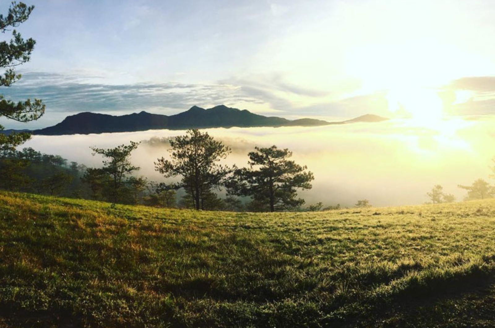 Đồi Đa Phú là một trong những điểm săn mây lý tưởng ở Đà Lạt 