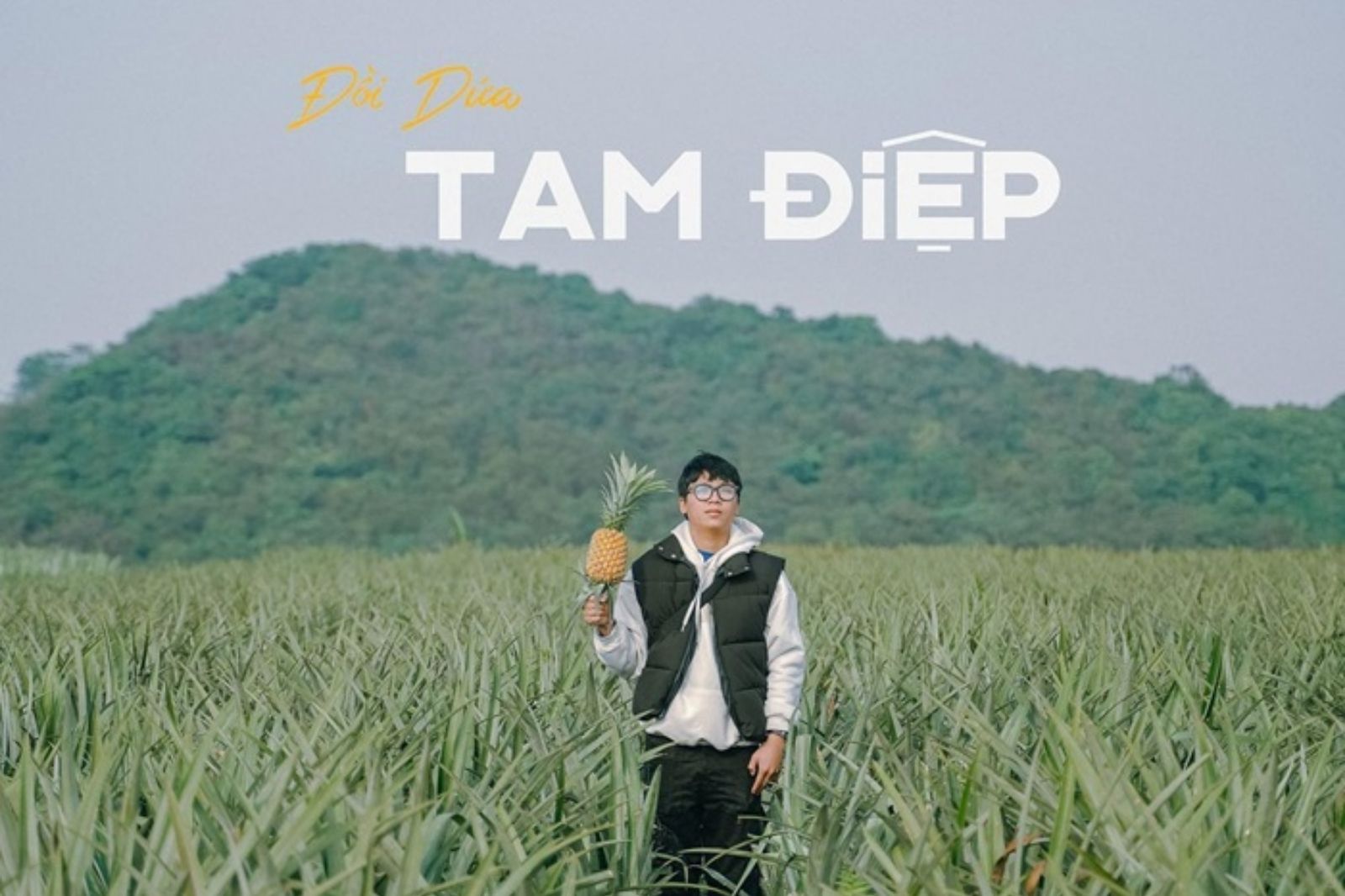 Đồi dứa Tam Điệp 