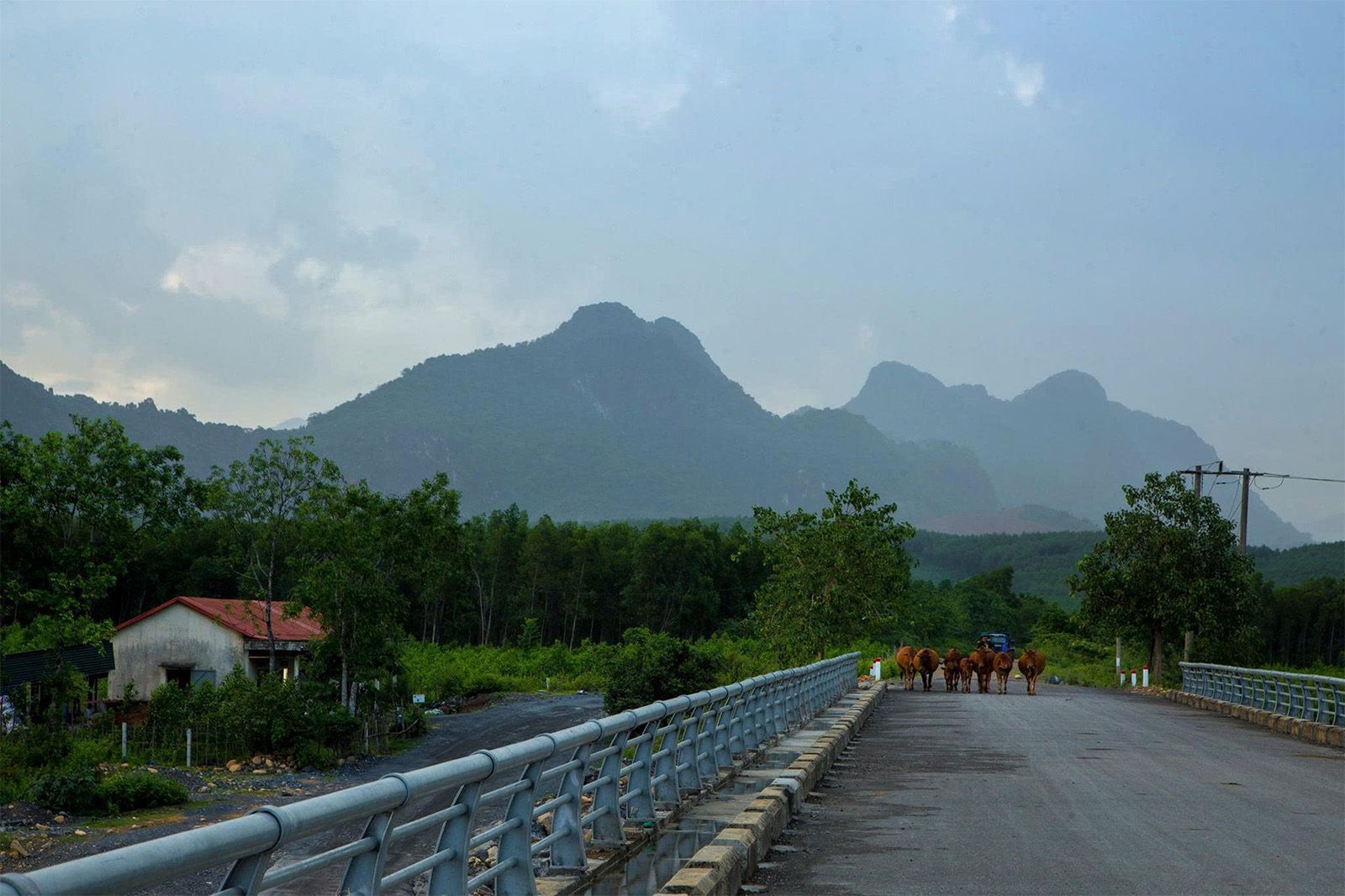 Đồi Rockpile được chọn làm tháp canh căn cứ