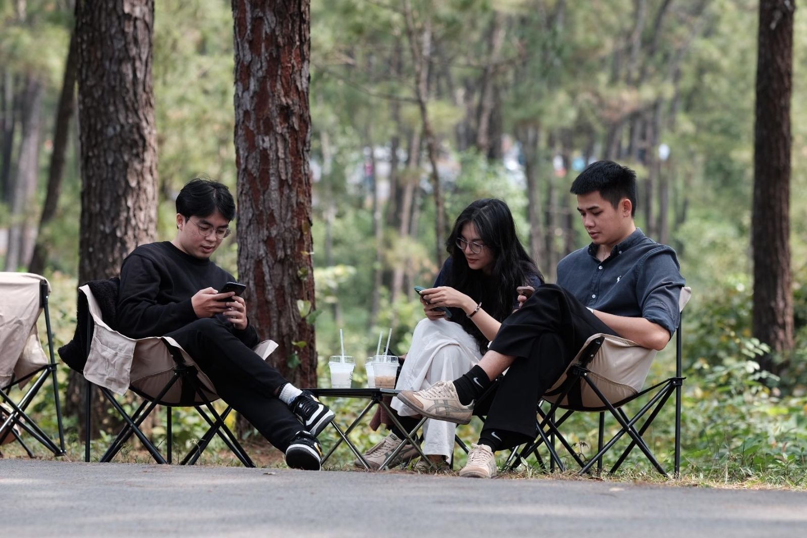 Đồi Thiên An là địa điểm lý tưởng picnic cuối tuần