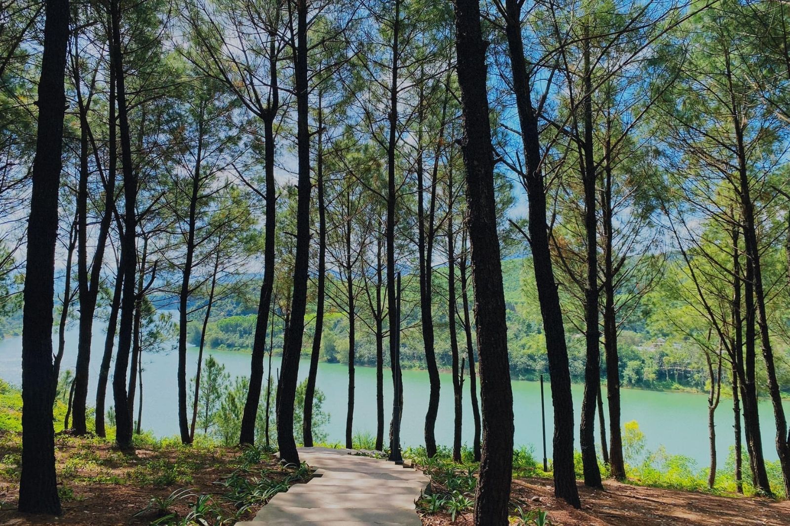 Đồi Vọng Cảnh