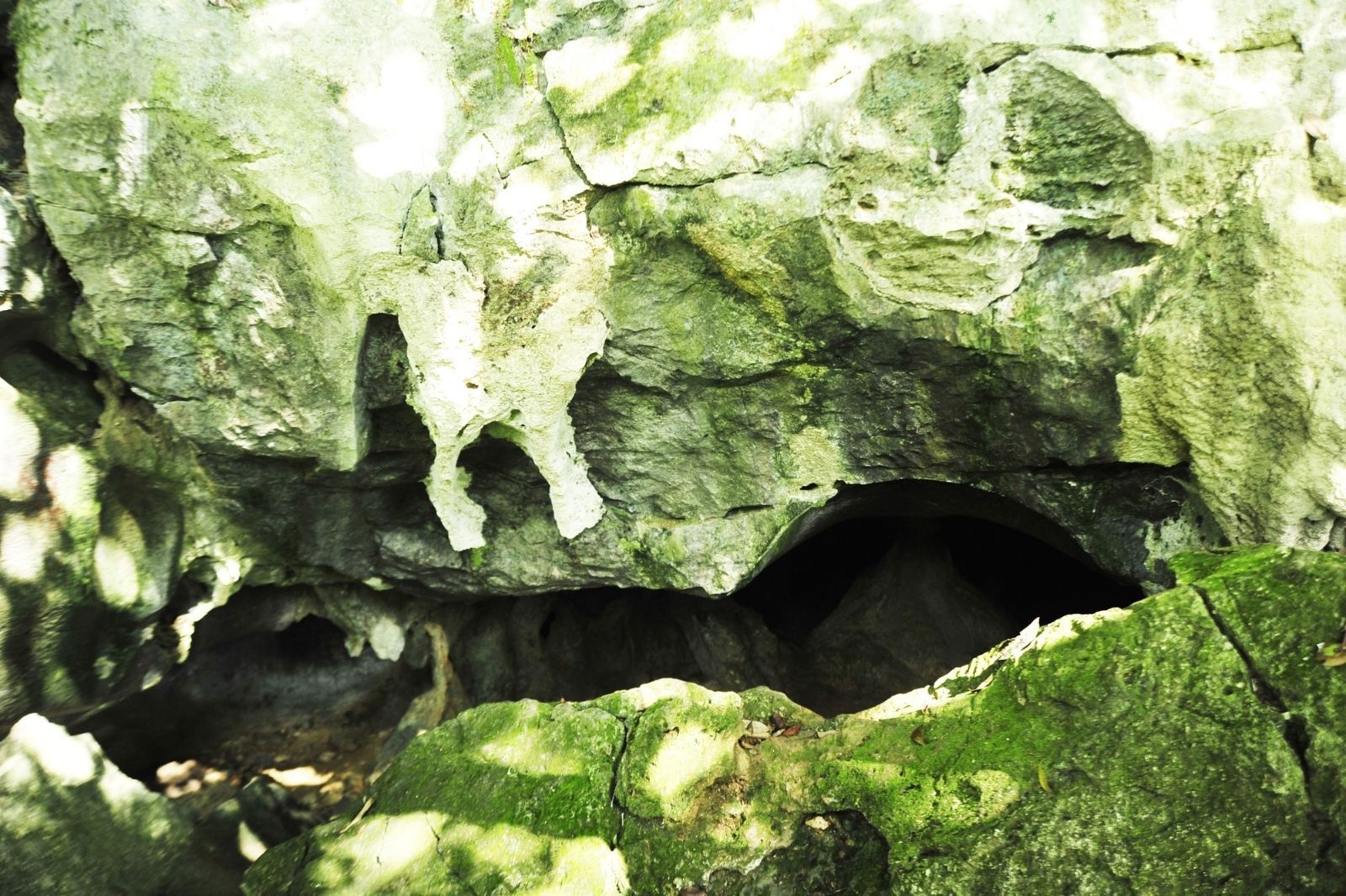 Động Người Xưa bên trong vườn quốc gia Cúc Phương 