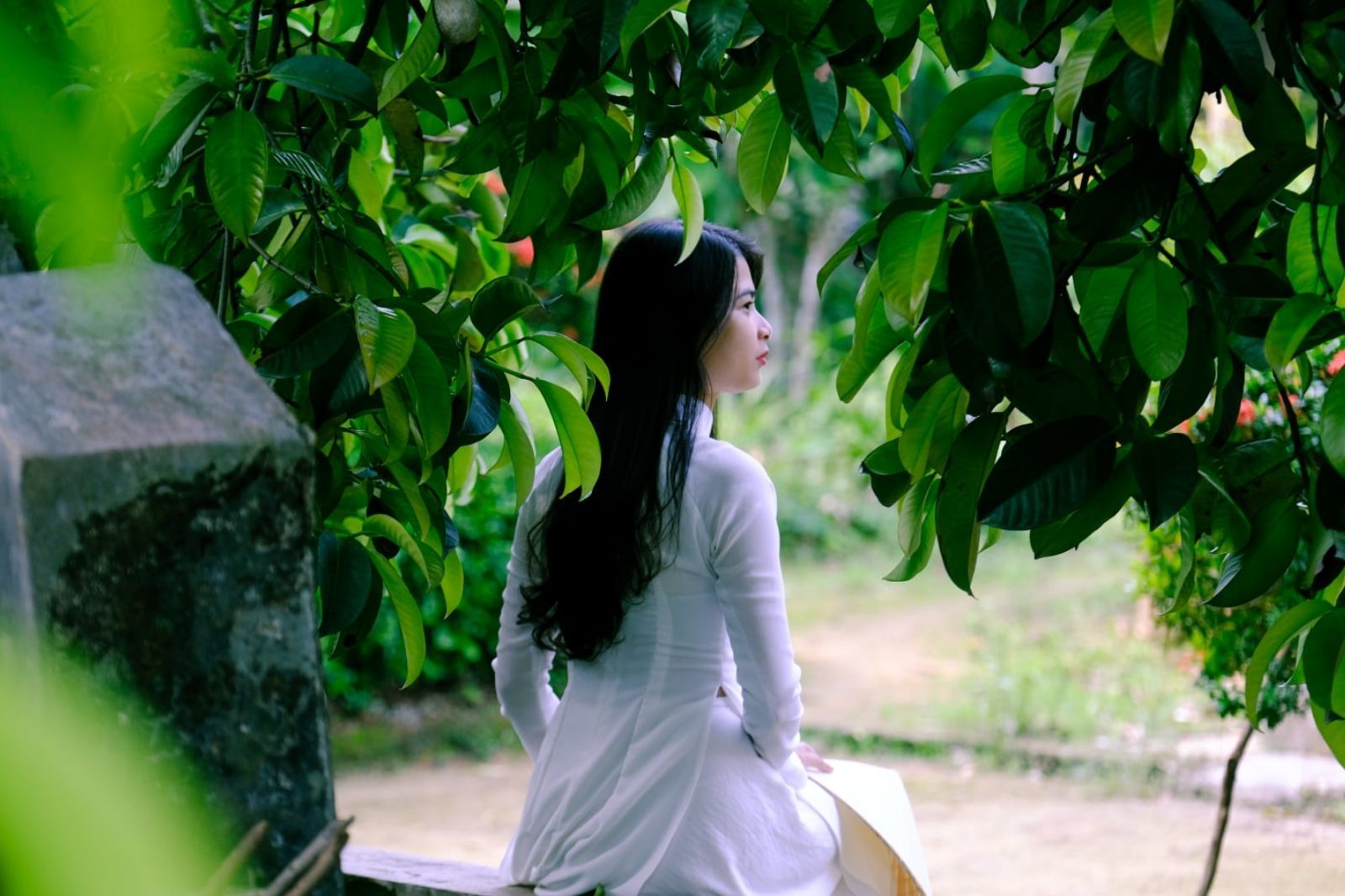 Du khách check-in Xuân VIên Tiểu Cung  