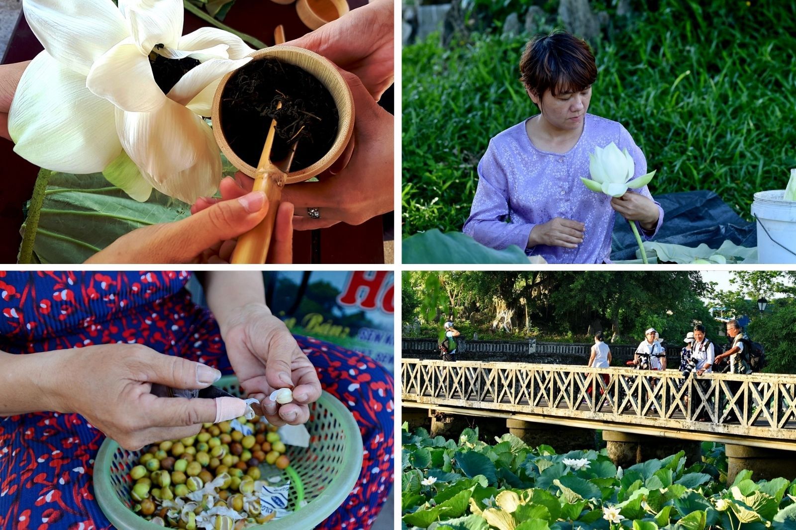 Du khách có thể mua trà sen hoặc hạt sen làm quà