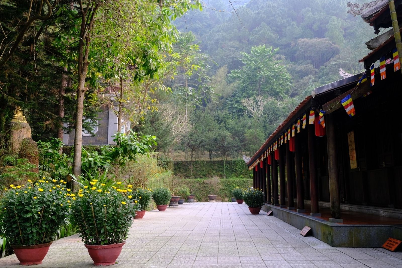 Du khách nên mặc trang phục lịch sự khi đến chùa 