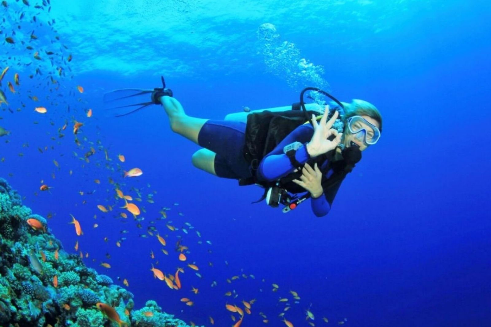 Du khách sẽ được hướng dẫn trước khi lặn 