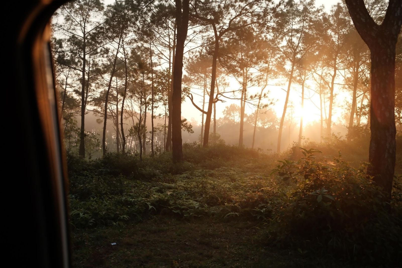 Dựng lều cắm trại ở Đồi Thiên An 