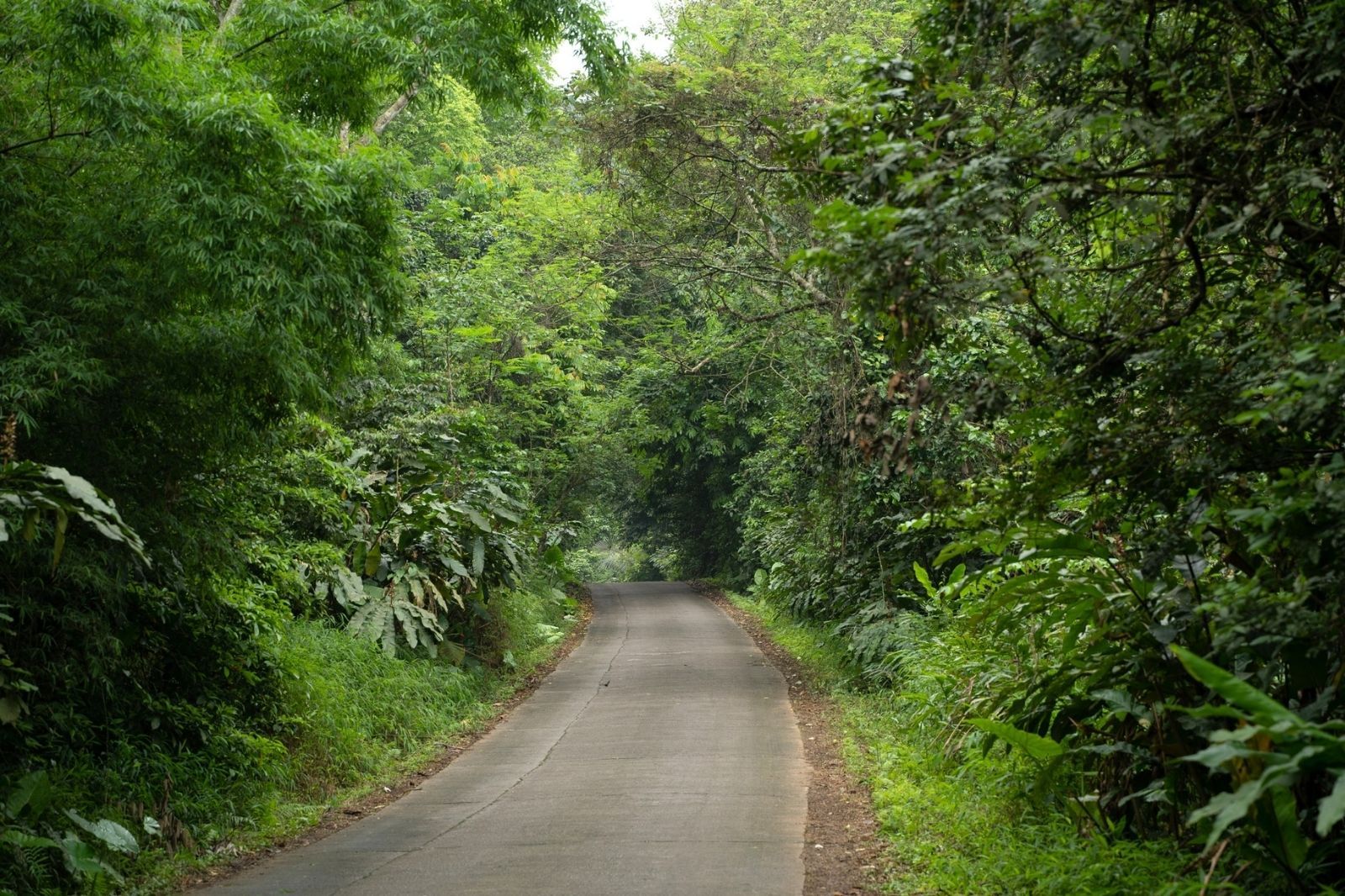 Đường đạp xe ở vườn quốc gia Cúc Phương 