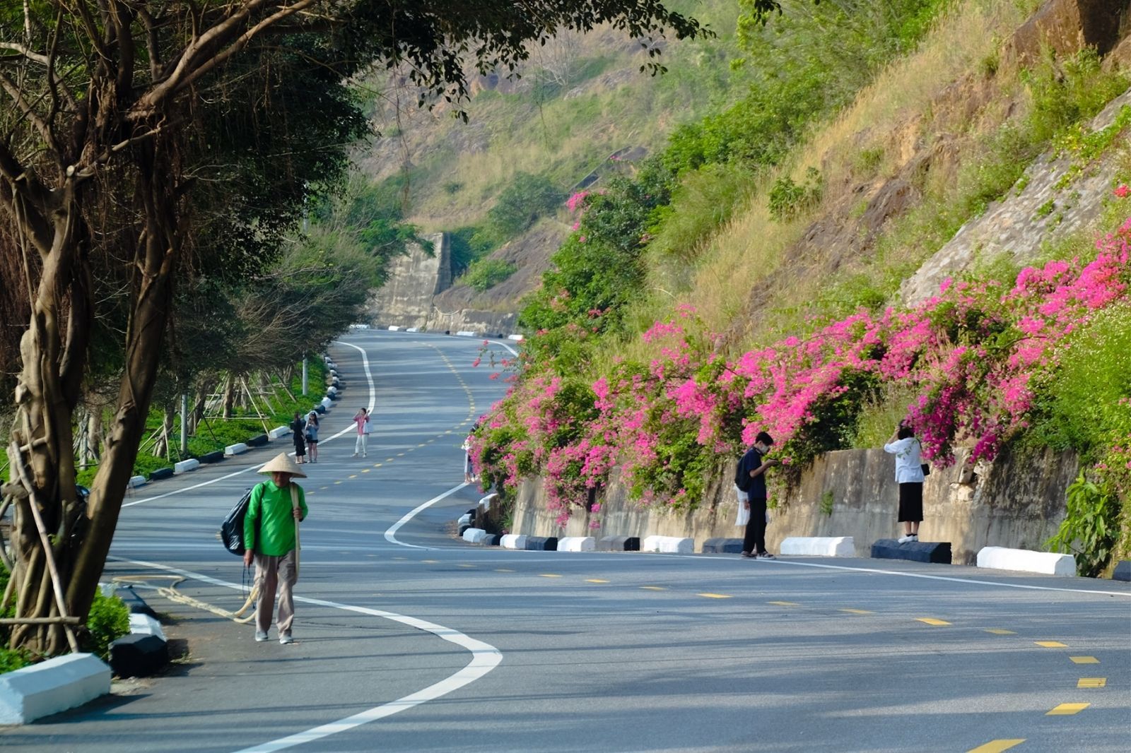 Đương đi lên bán đảo Sơn Trà có nhiều khúc cua