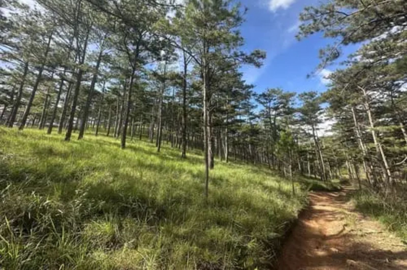 Đường di chuyển đến Đồi Đa Phú  