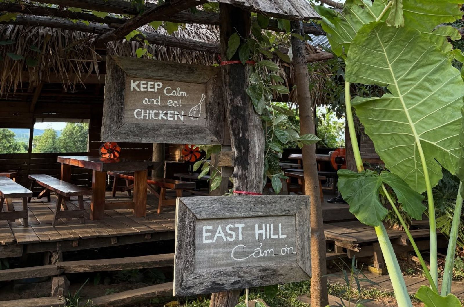 East Hill nằm trên một ngọn đồi cao thoáng mát