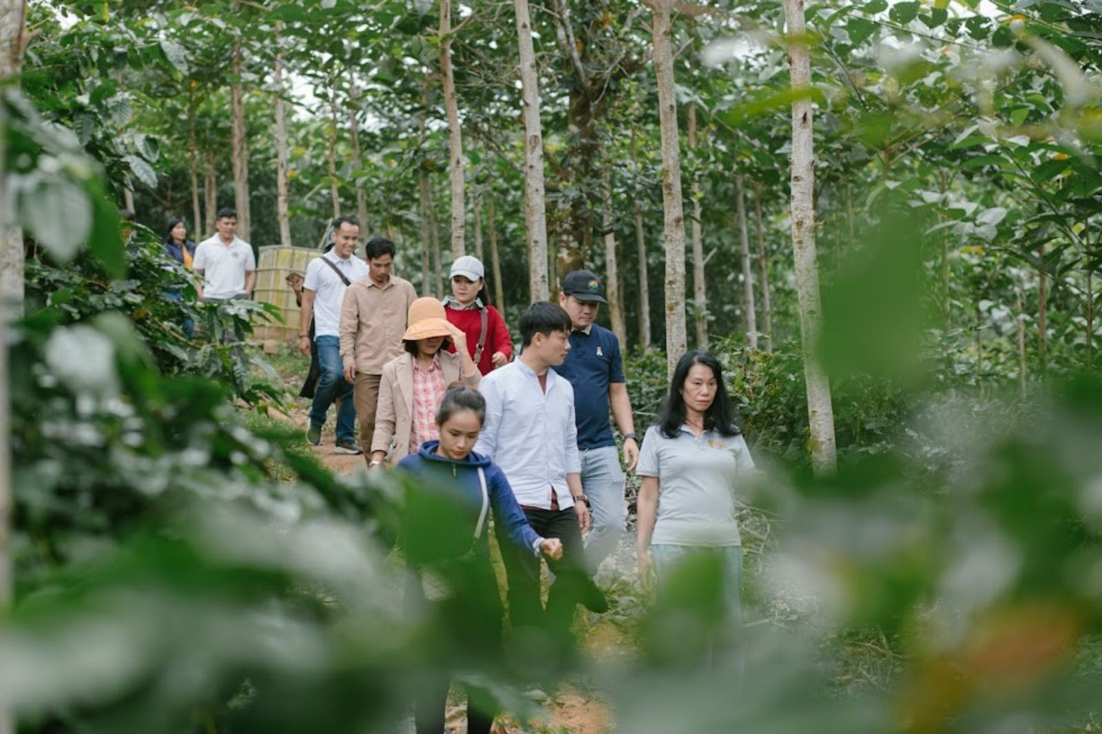 Kết hợp du lịch qua Khe Sanh Coffe tour