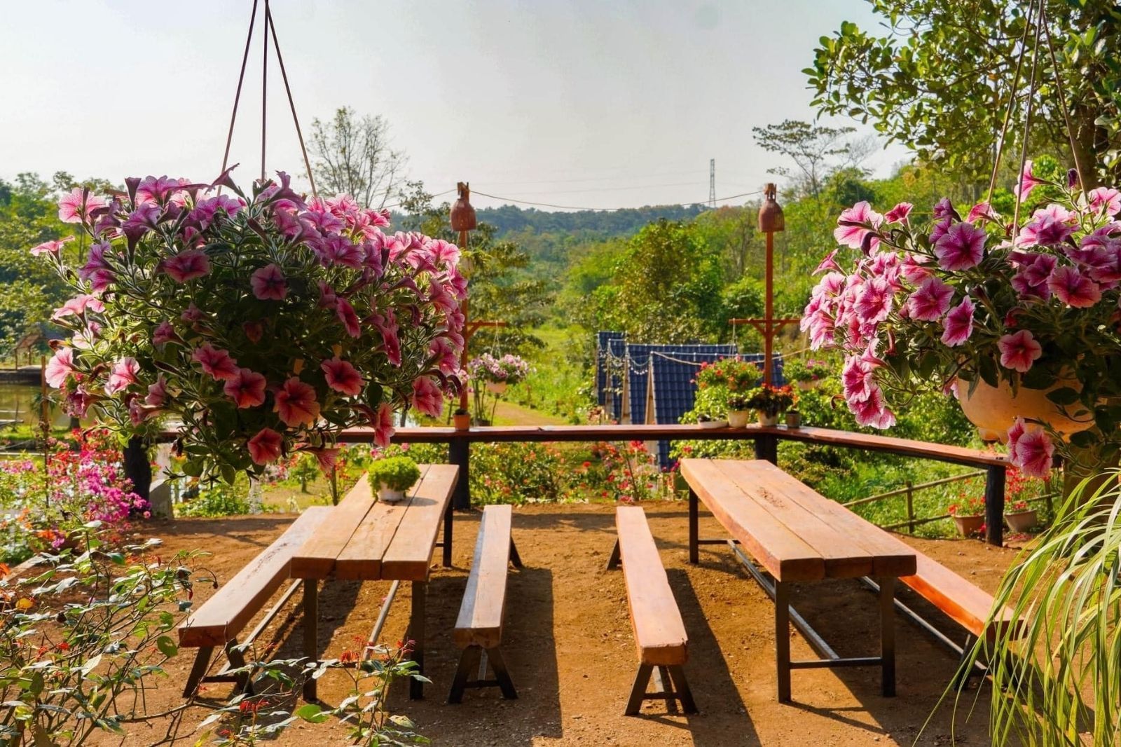 Farmstay được xây dựng từ những nguyên vật liệu thân thiện với môi trường 