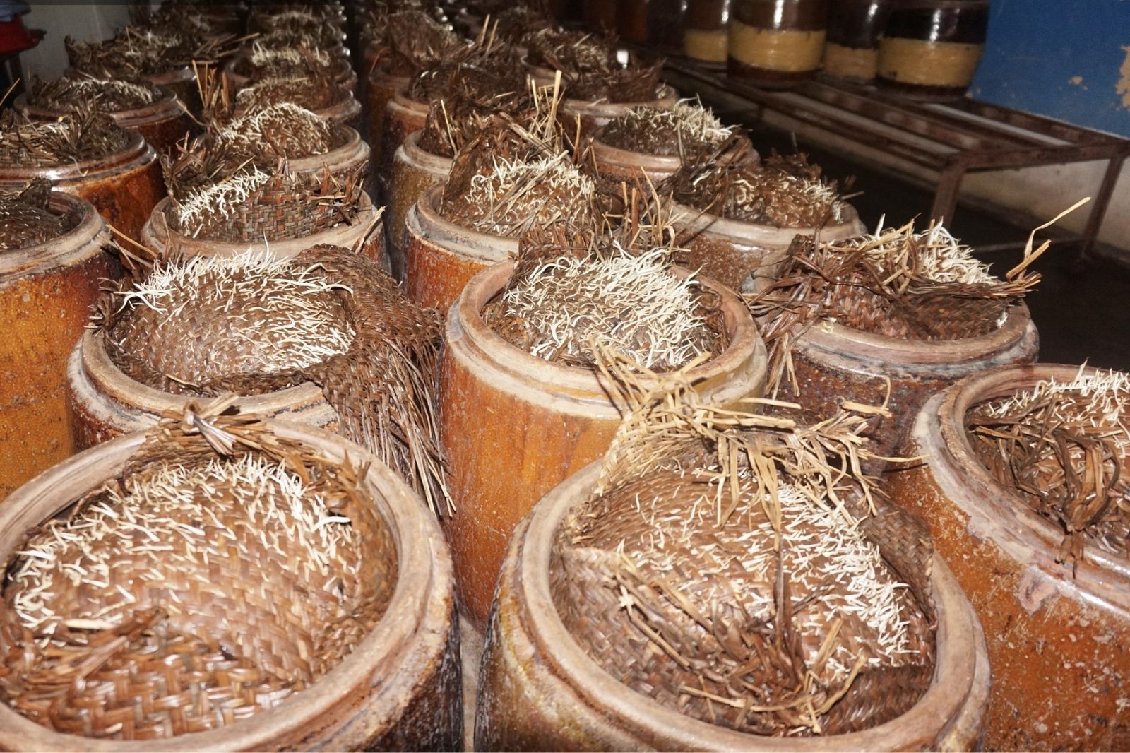 Giá đỗ được ủ trong các chum sứ