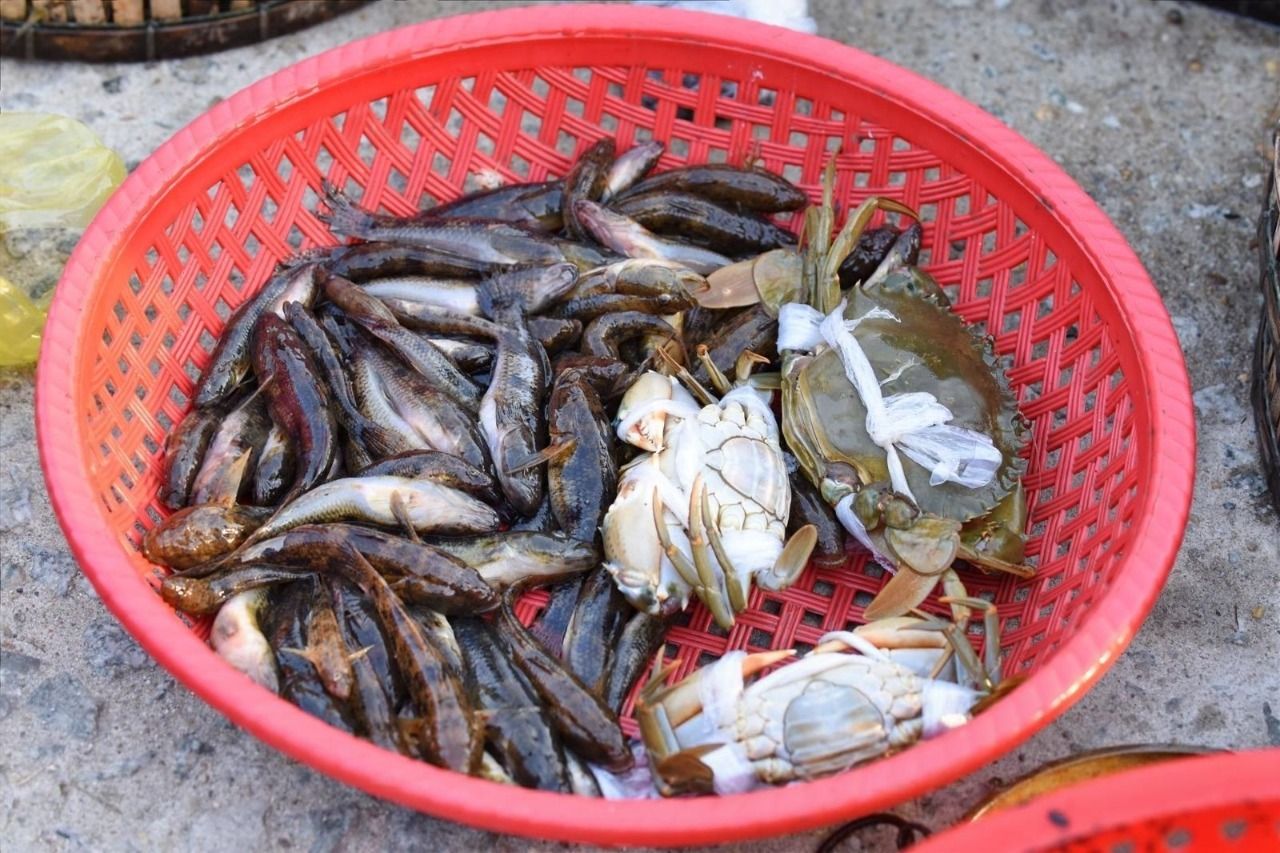 Thủy hải sản tươi sống được người dân đem bán ở chợ nổi