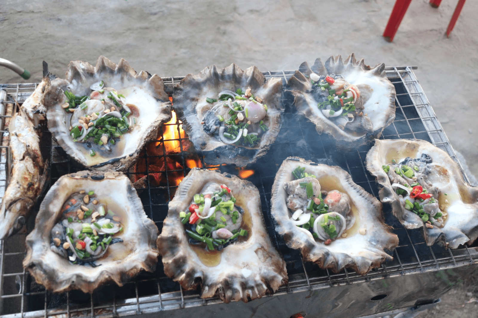 Hàu vua nướng mỡ hành 
