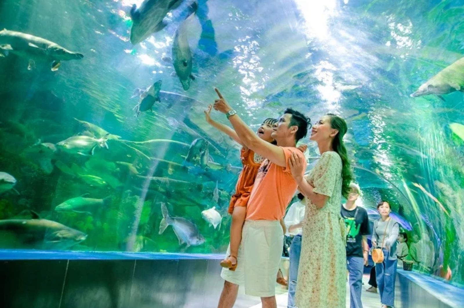 Aquariensystem für Meereslebewesen