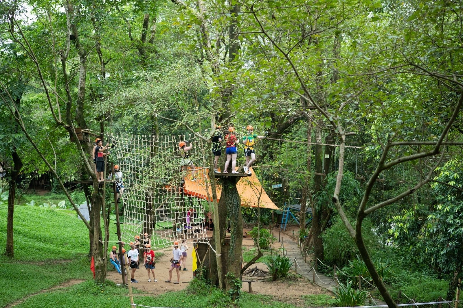 Hệ thống trò chơi trên cây thú vị