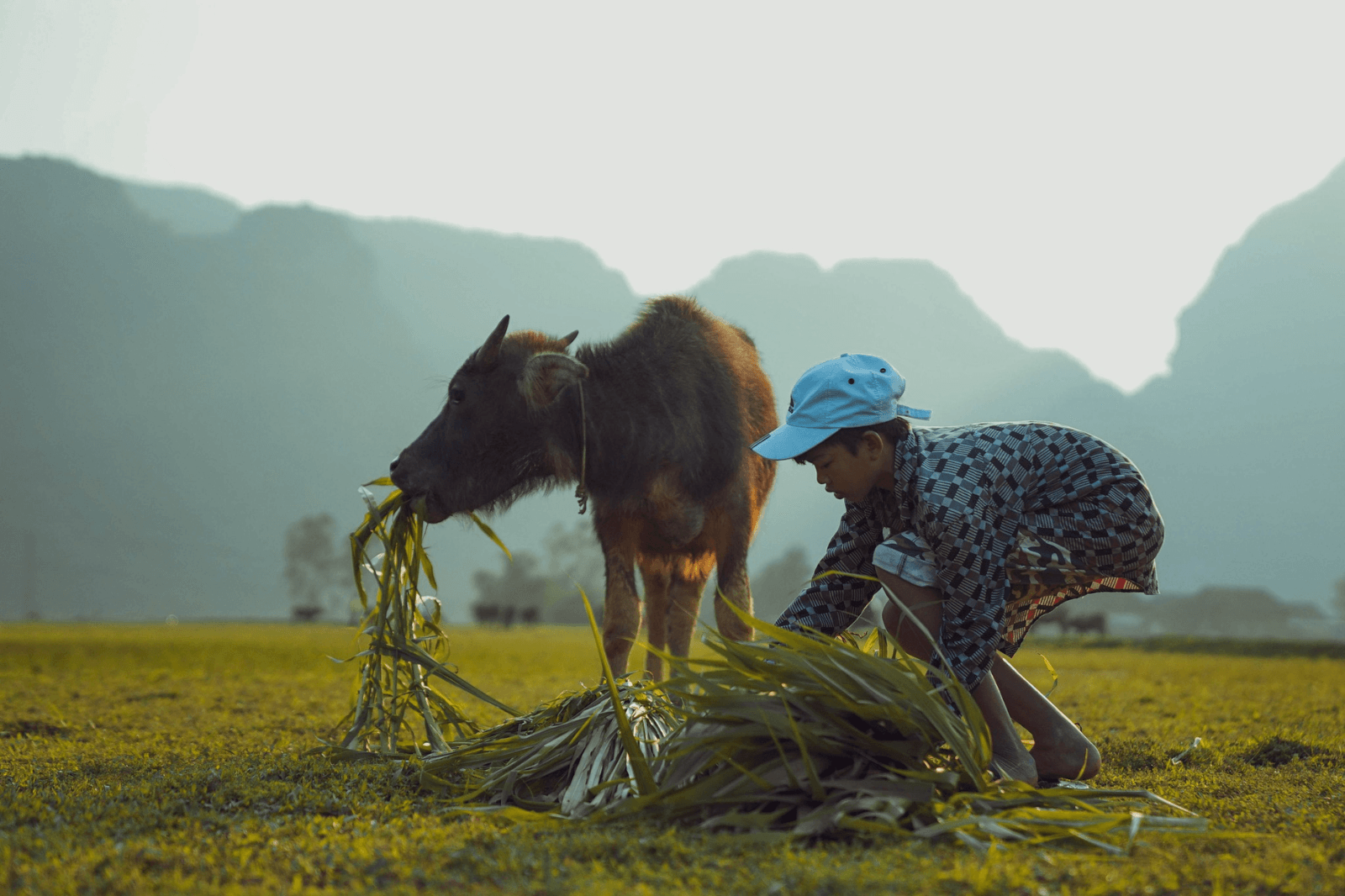 Hiểu hơn về cuộc sống của người dân 