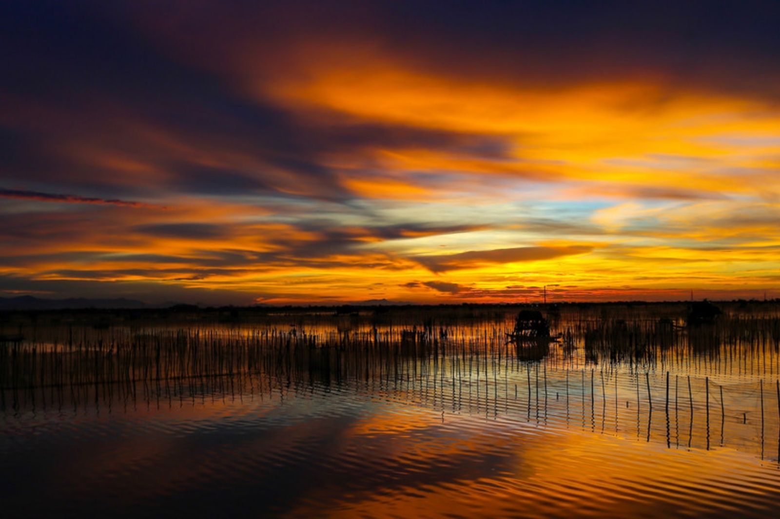 Phá Tam Giang được xem là địa điểm ngắm hoàng hôn đẹp nhất Huế