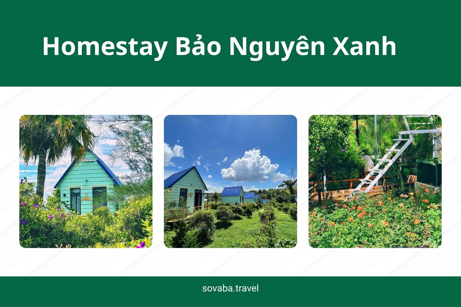 Homestay Bảo Nguyên Xanh