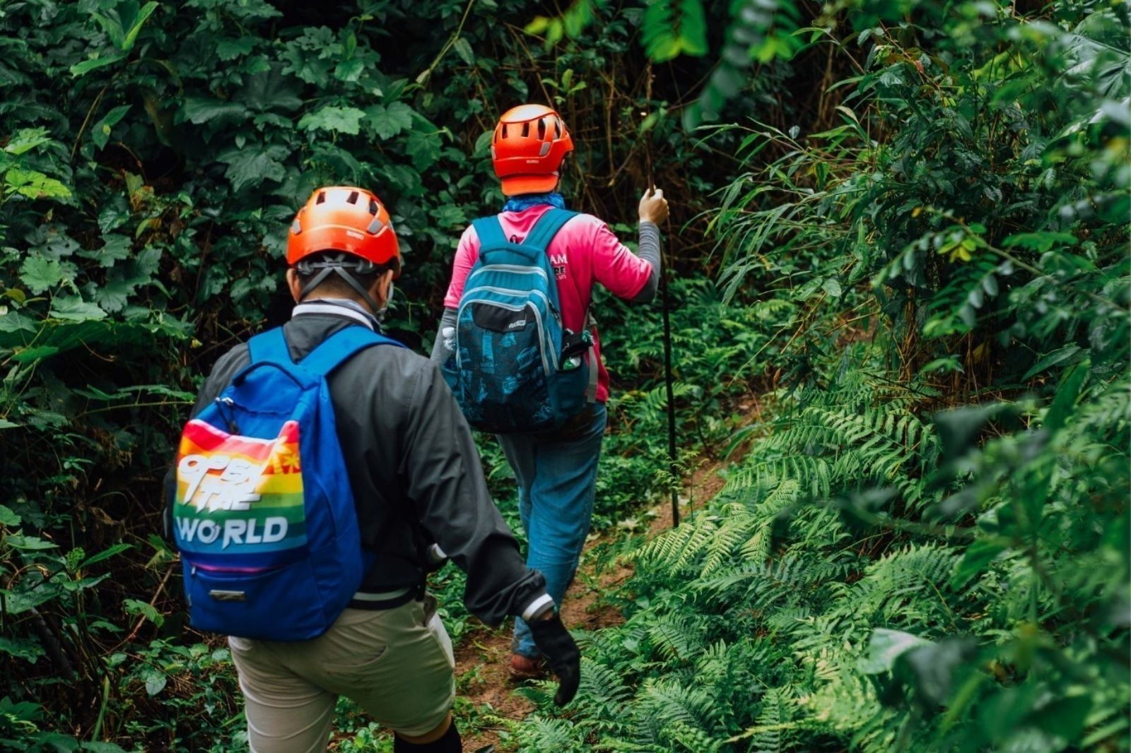 Tour trekking trọn gói có hướng dẫn viên chuyên nghiệp 
