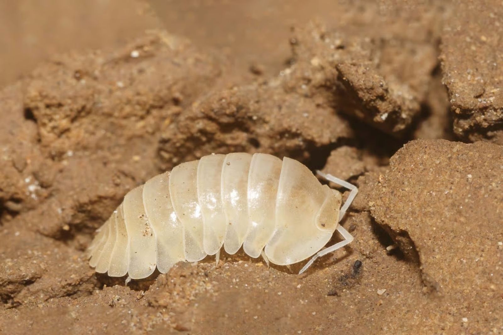 Khám phá sâu bên trong hang động 