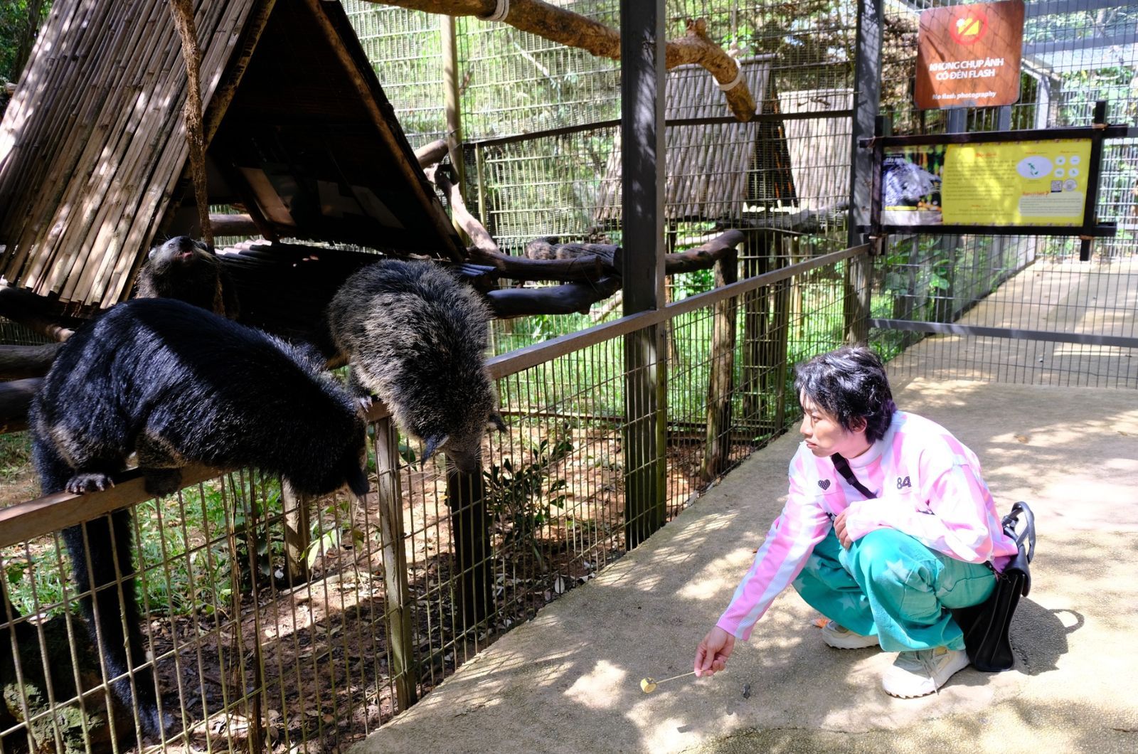 Khám phá vườn thú mở 