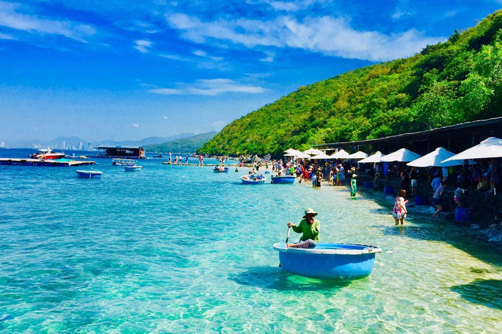 Khởi Hành Từ Nha Trang: Khám Phá Đà Lạt - Thành Phố Ngàn Hoa