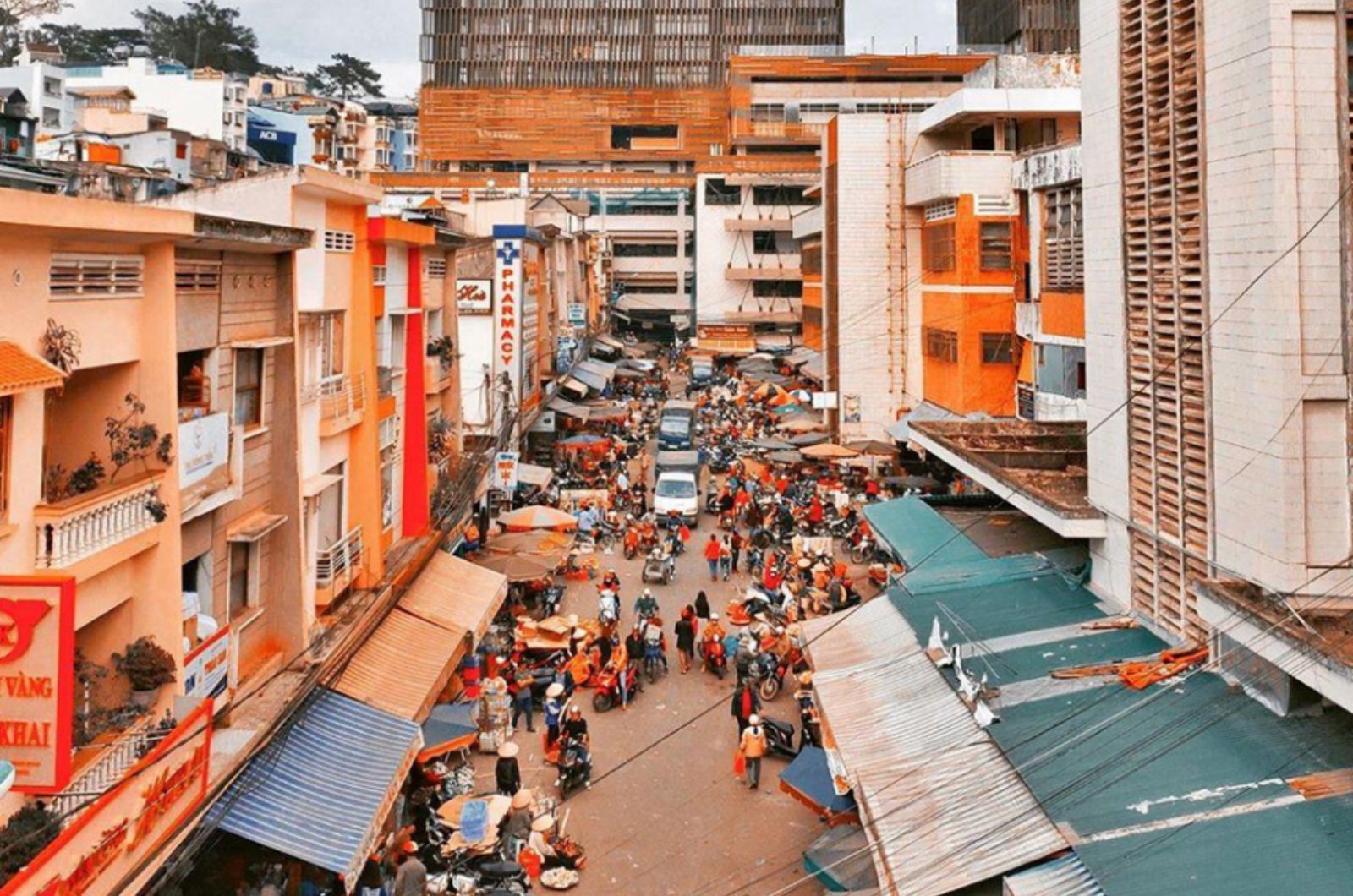Không gian nhộn nhịp thường ngày ở chợ Đà Lạt 