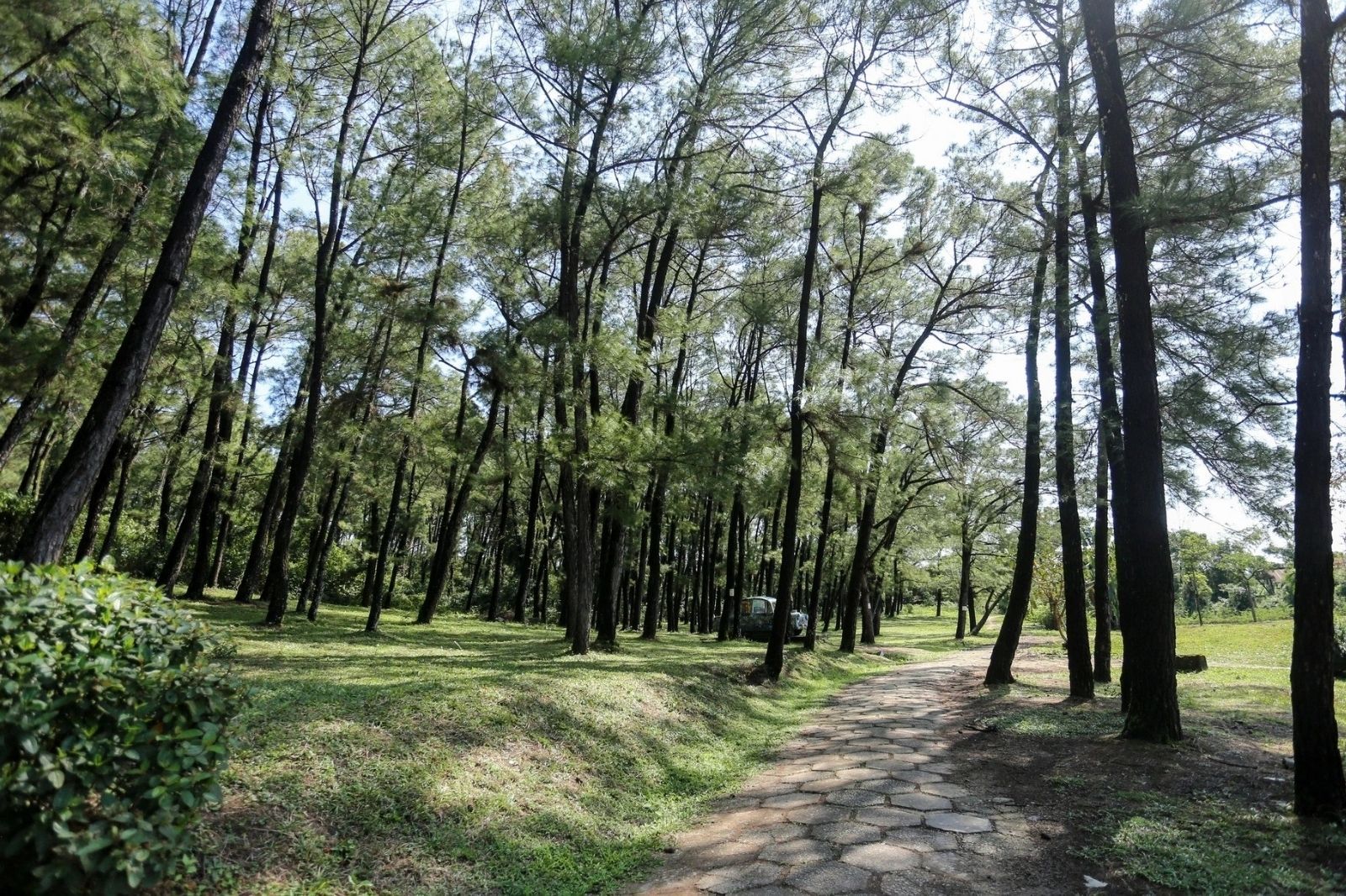 Không gian xanh mát ở đồi Thiên An