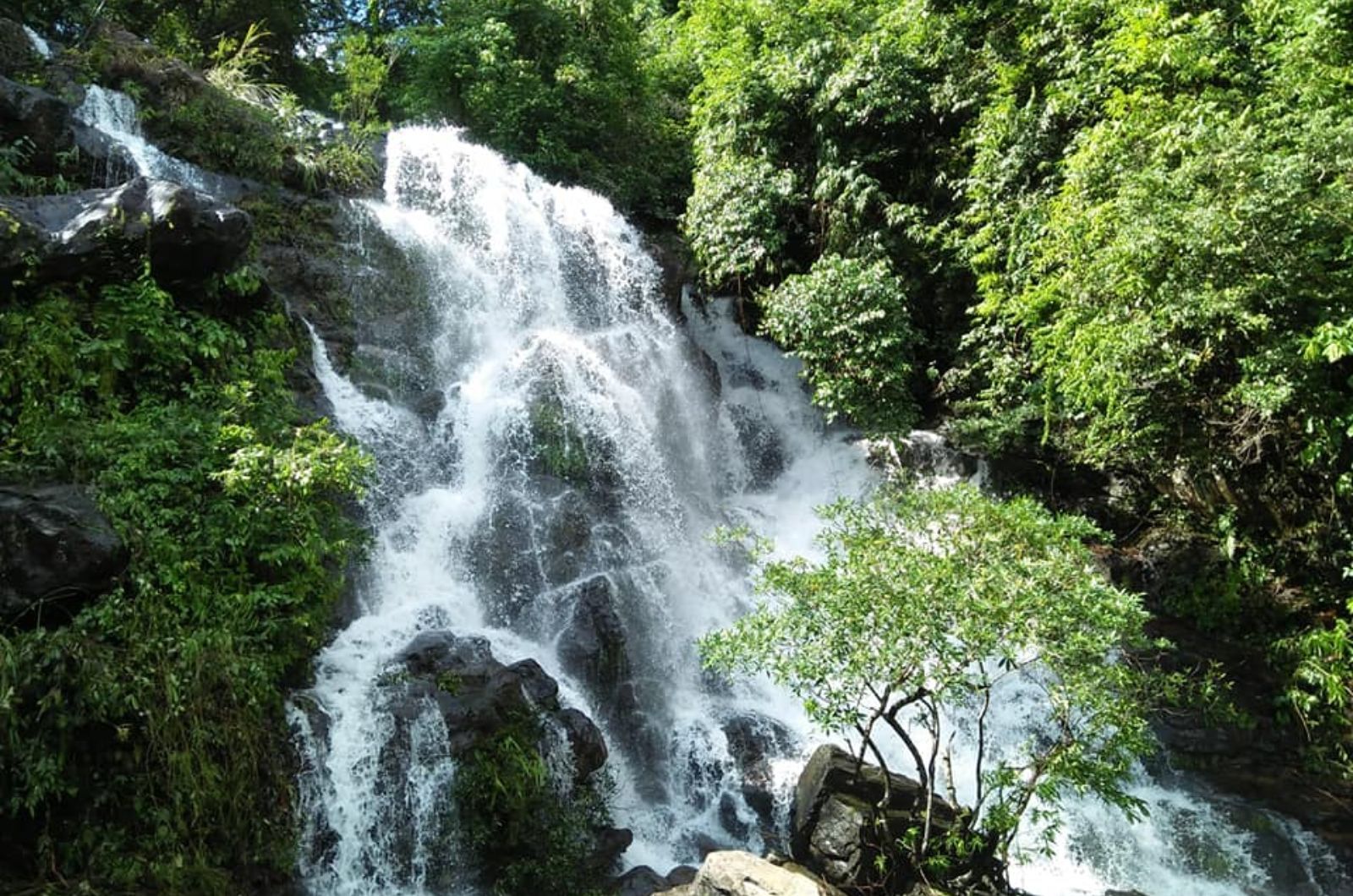 Khu vườn thu nhỏ của Vườn quốc gia Phong Nha - Kẻ Bàng