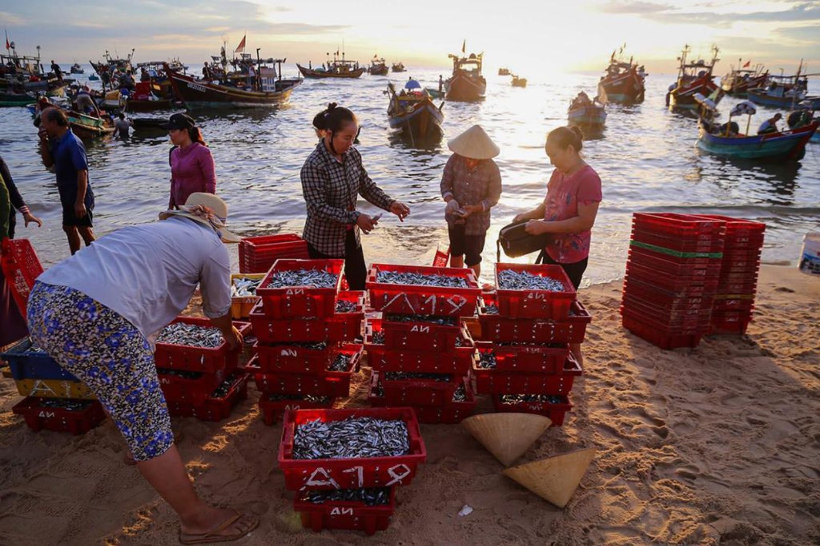 Khung cảnh nhộn nhịp của ngư dân bên bờ biển mỗi sớm mai