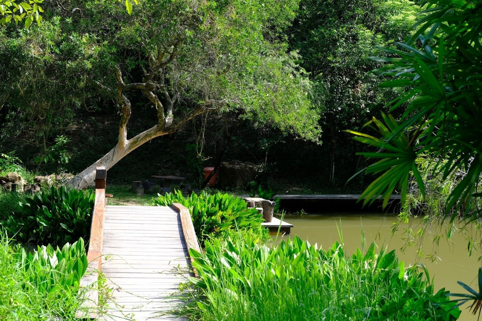 Khuôn viên ngoại viện ở chùa 