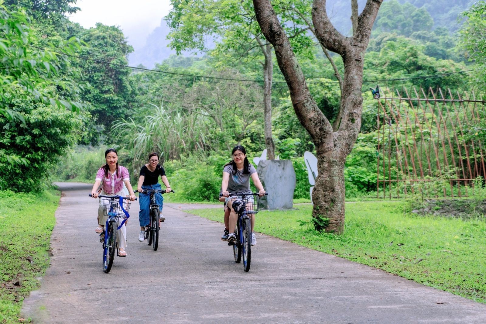 Kiểm tra thời tiết trước khi đặt tour  