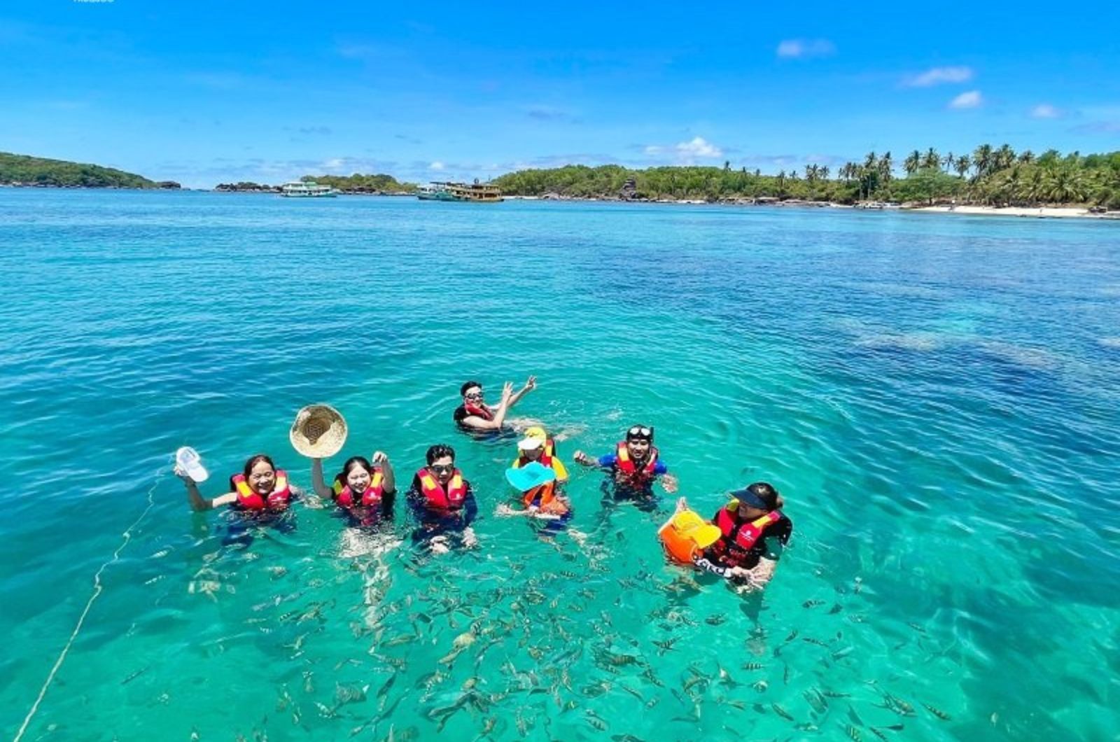 Tham gia lặn ngắm san hô ở biển