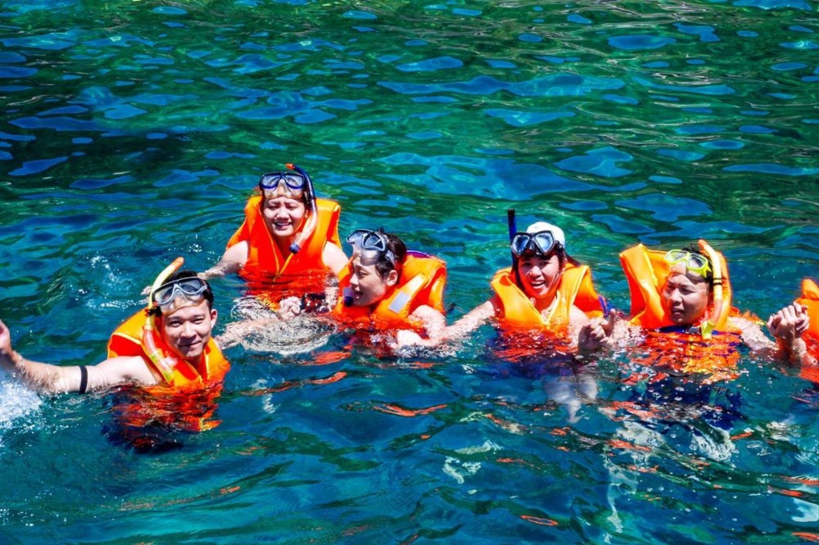 Lặn ngắm san hô ở Cù Lao Chàm  