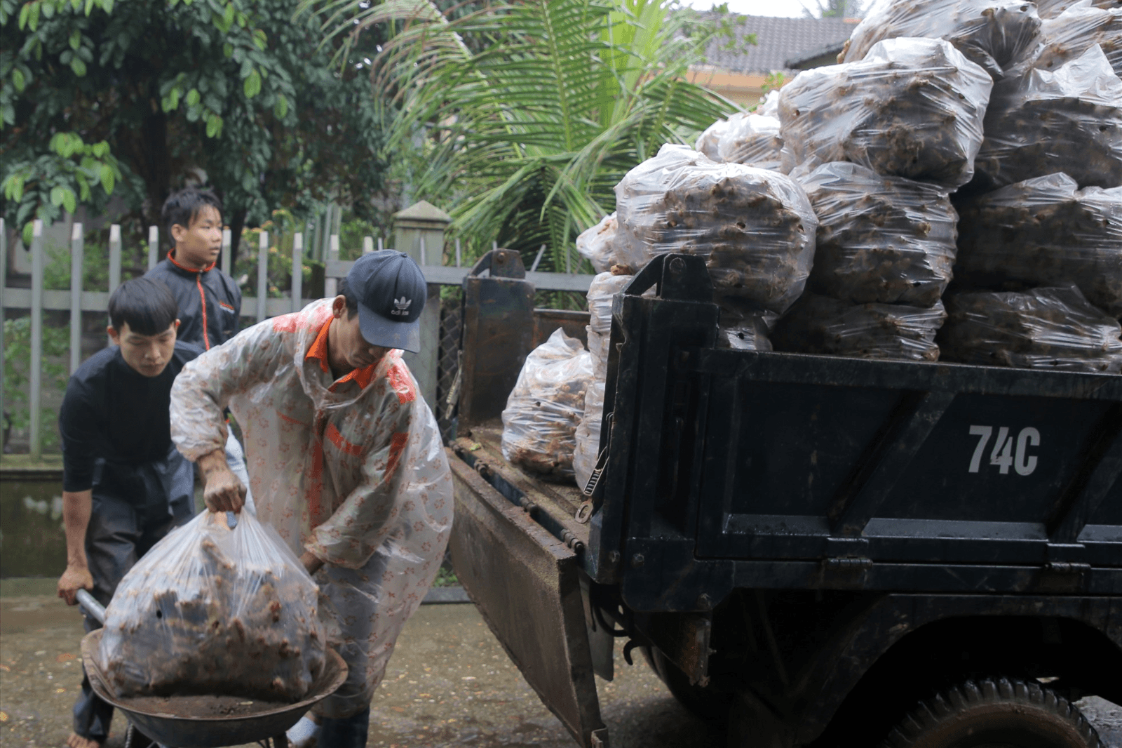 Làng nghề truyền thống giữ hương vị xưa 