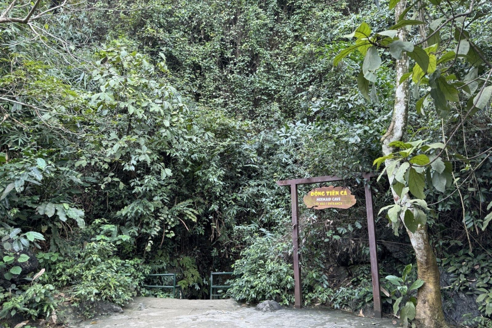 Lối vào động Tiên Cá