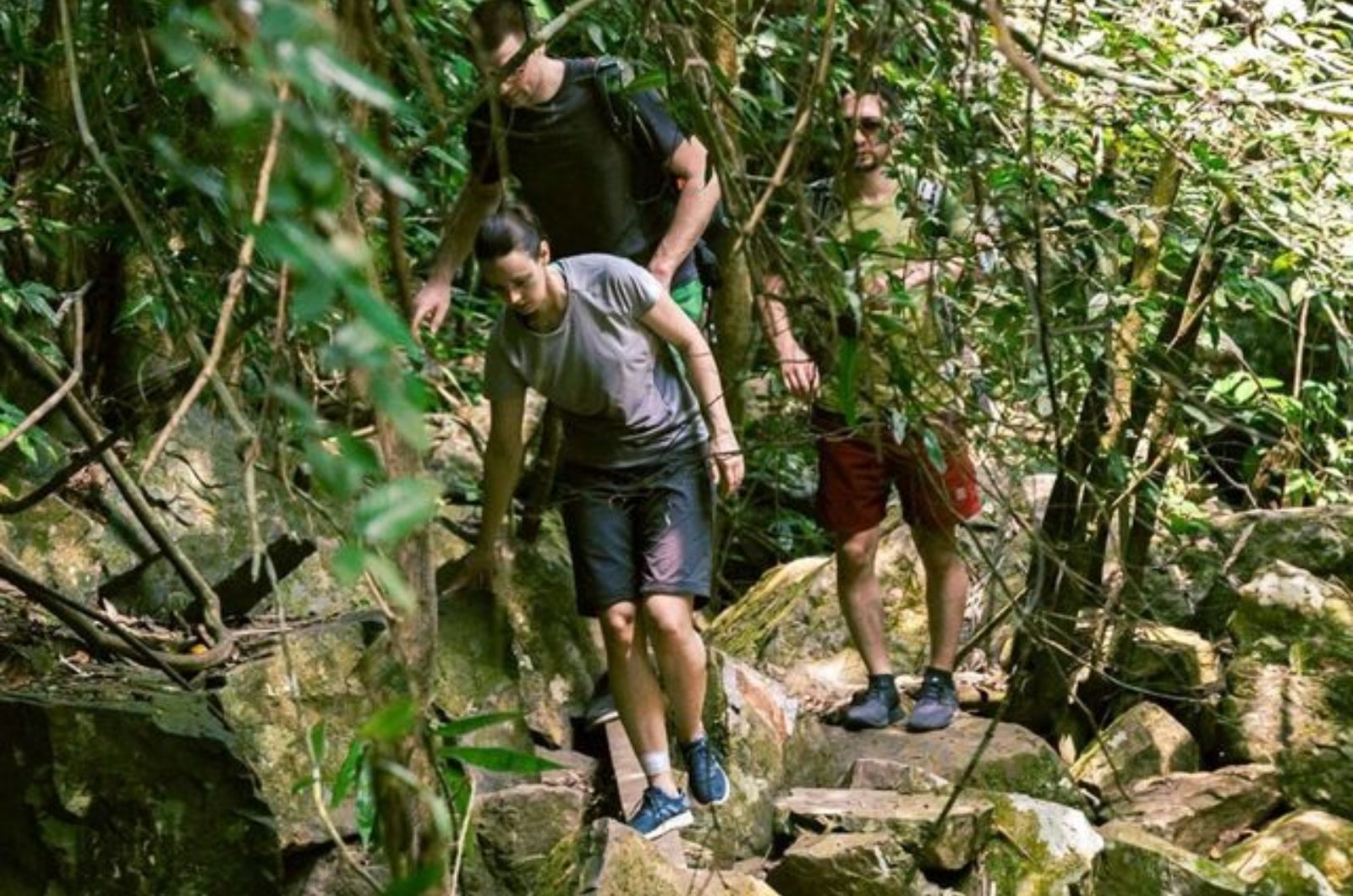 Mặc giày để tiện trekking các khu vực ở vườn thực vật 