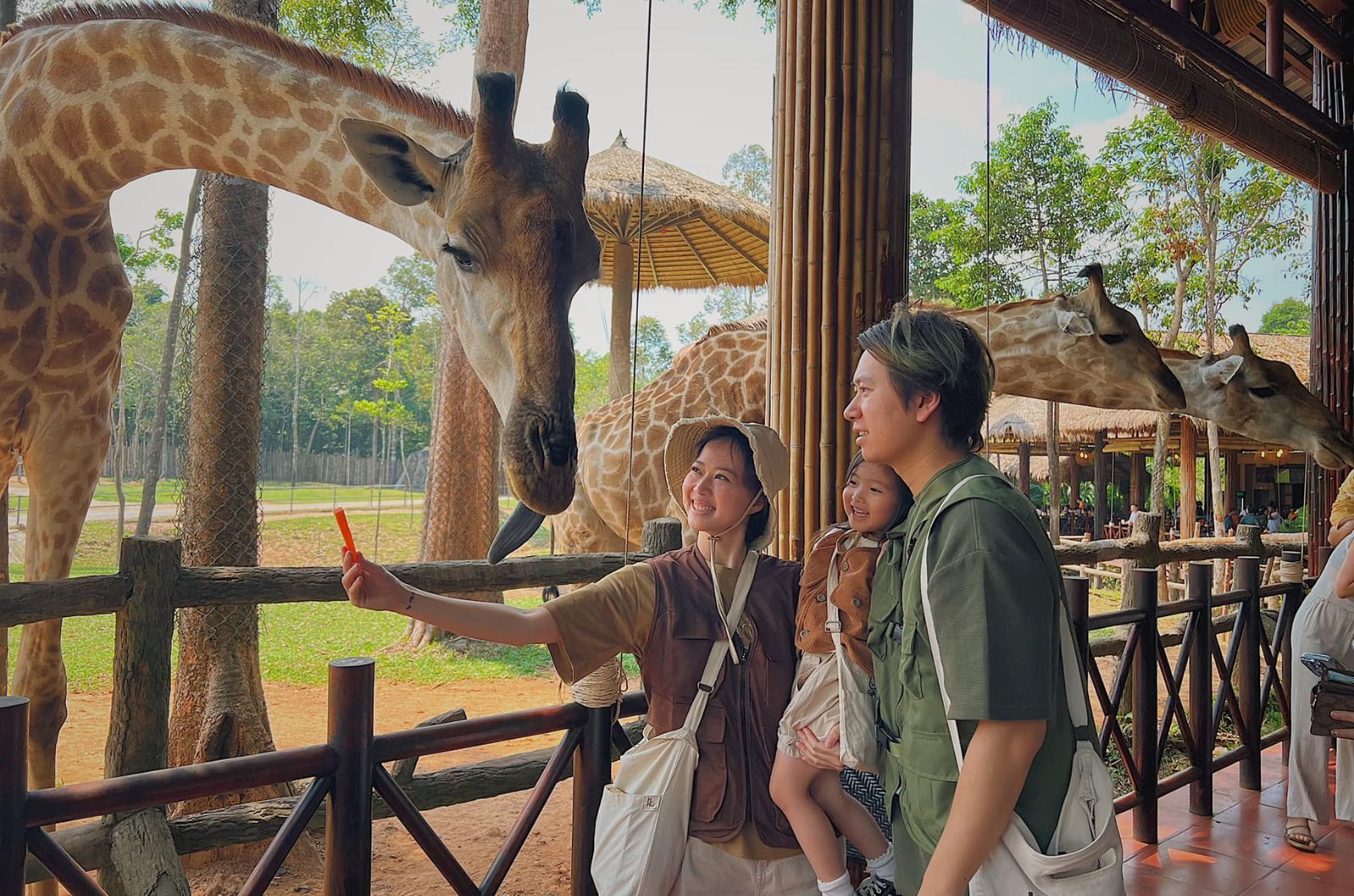 Mang theo mũ để thuận tiện tham quan khu vực ngoài trời  