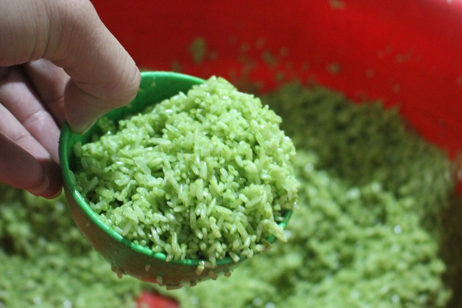 Màu xanh của bánh được nhuộm từ lá ngót