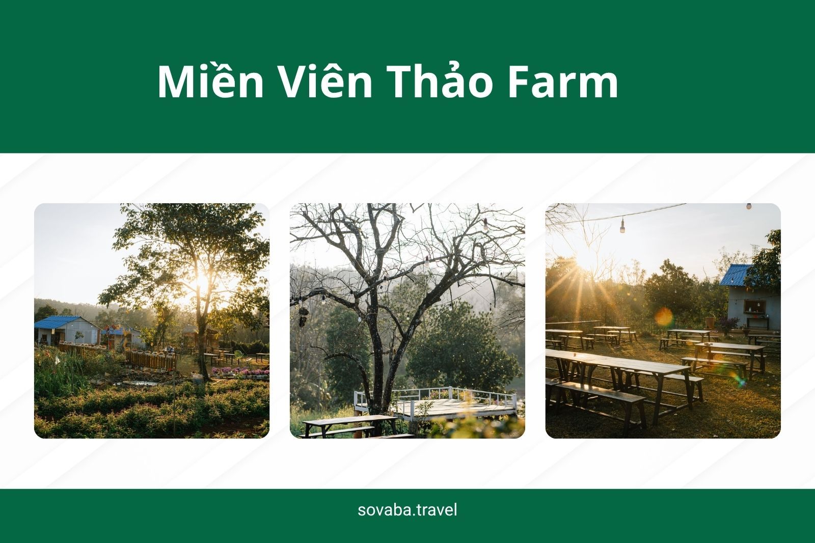 Miền Viên Thảo Farm