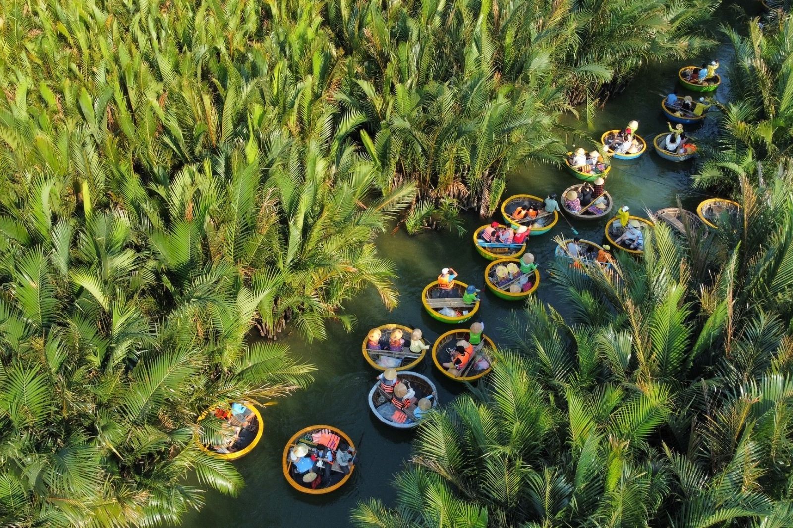 Mùa hè là thời gian lý tưởng để đến Rừng Dừa Bảy Mẫu  