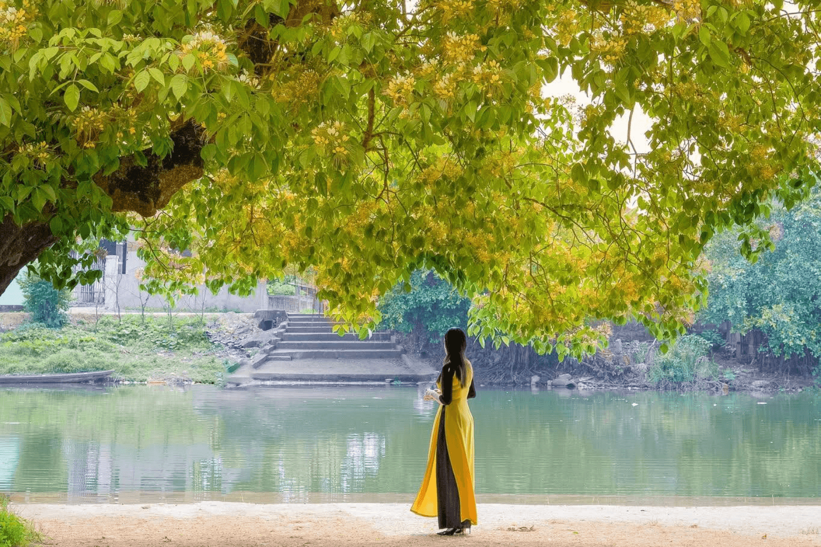Mùa hoa bún bên dòng sông Kiến Giang