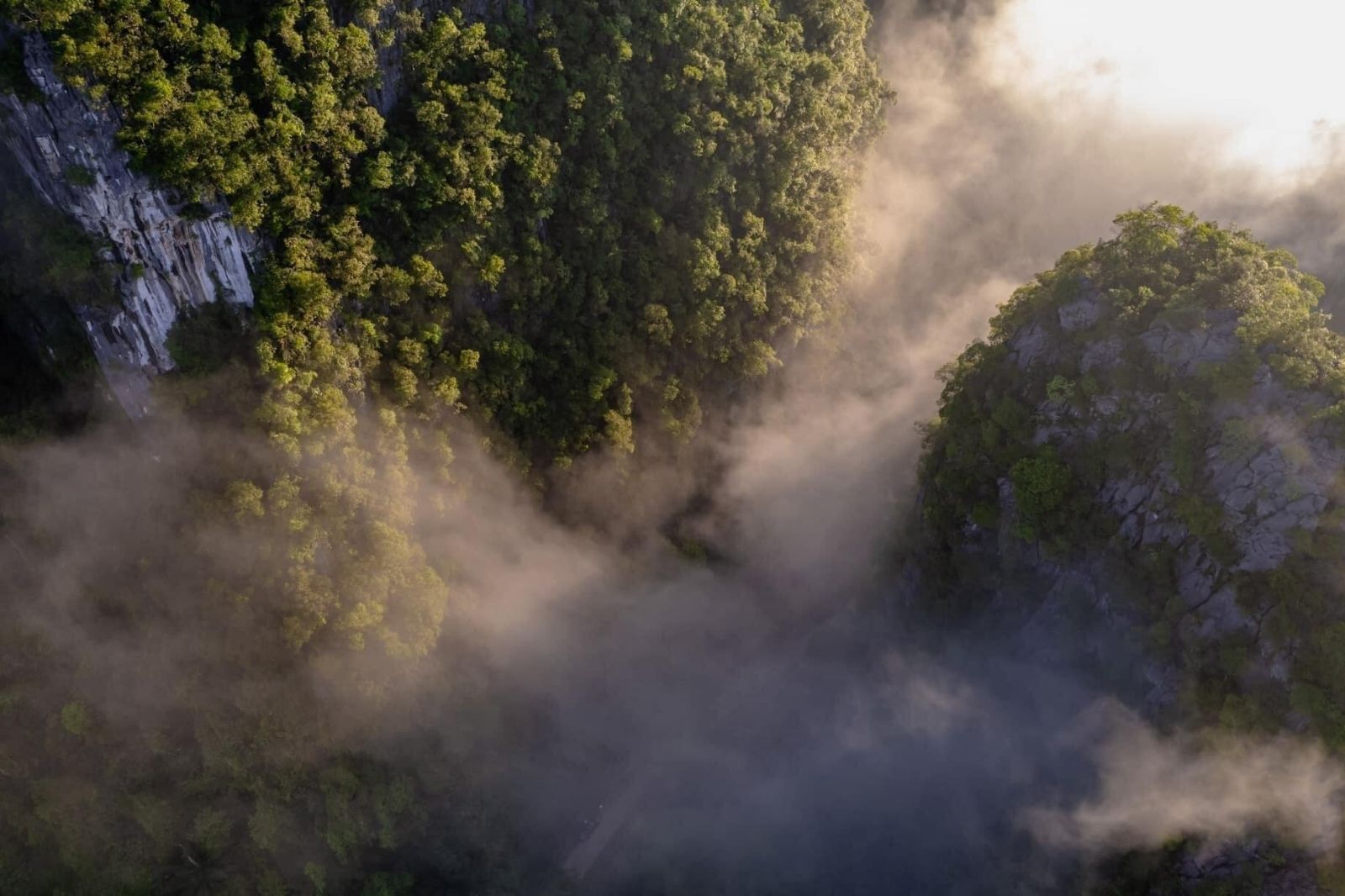 Mùa mưa cũng mang lại sức sống cho thảm thực vật ở hang động